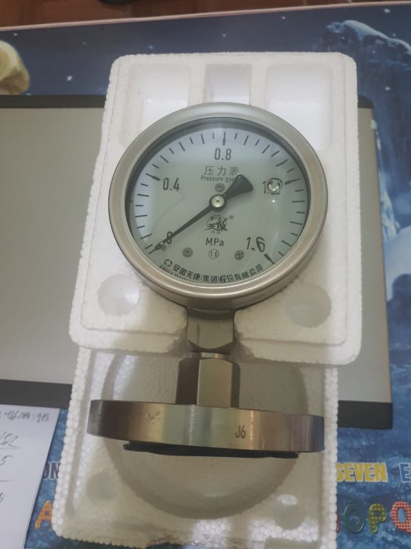 Pressure gauges- YNMF100B-CHINA